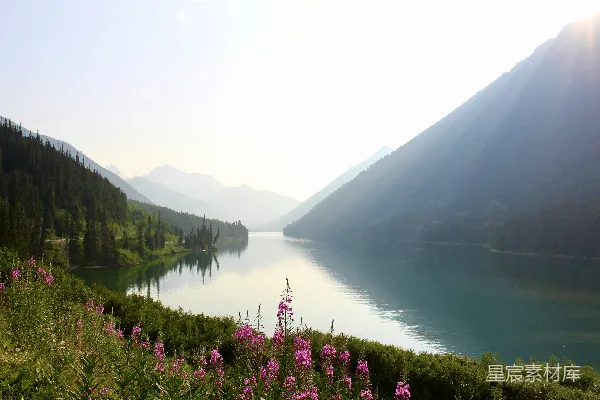 高清摄影 粉色花田靠近水面，远眺山峦，白云蓝天作背景