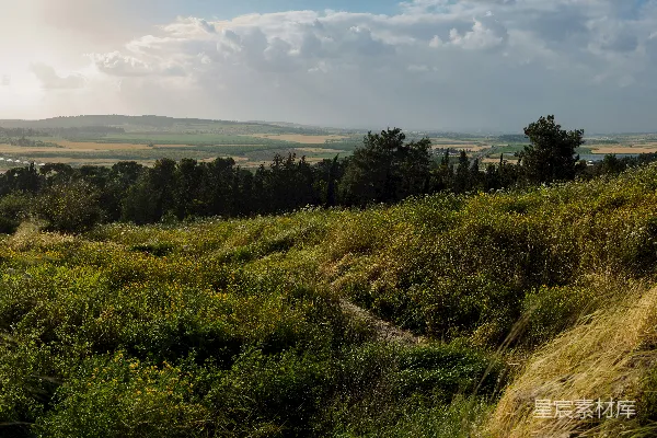高清摄影 白天绿草地上方白云之下