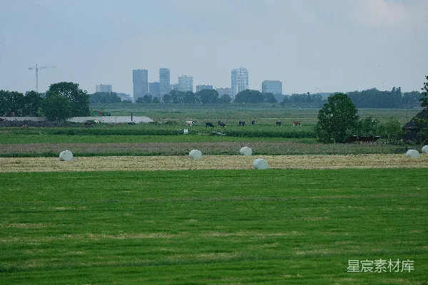 高清摄影 田地里堆着的干草垛，背景是城市 skyline。