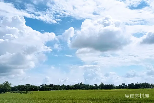 高清摄影 一大片绿色的田野上有树木和云朵在上方。