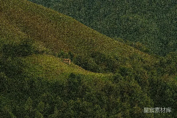 高清摄影 一座孤独的房子坐落在山顶上，周围被树木环绕。