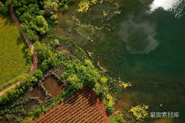 高清摄影 绿树环抱中的河谷俯视图