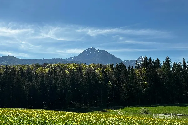 高清摄影 背景中有草甸、树木和一座山。
