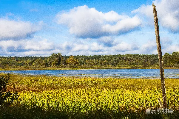 高清摄影 白天湖边绿草地上方有白云和蓝天下的场景