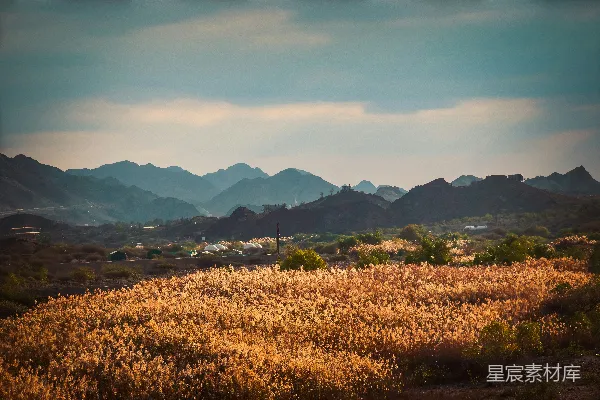 高清摄影 背景中有山的一片田野