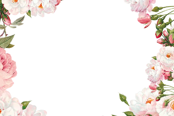 元素素材 粉色花卉边框装饰框