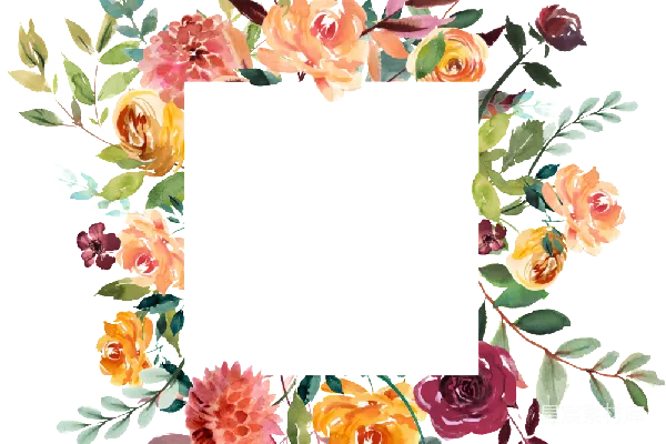 元素素材 花卉