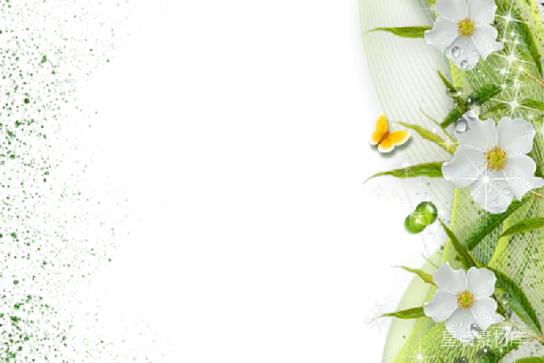 元素素材 花卉
