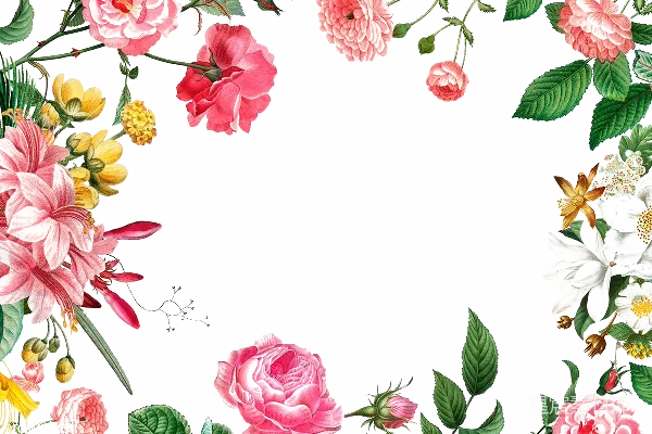 元素素材 花卉
