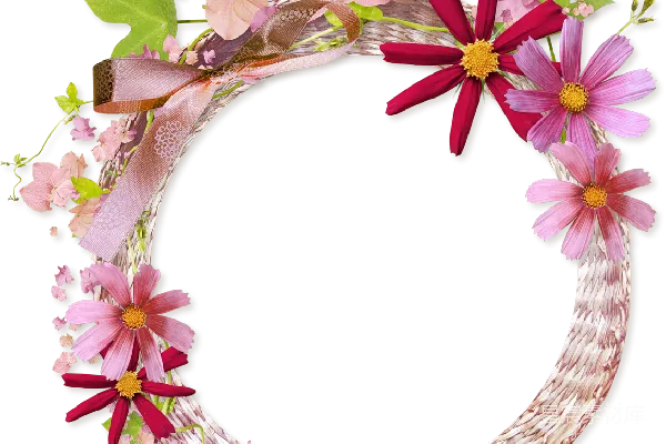 元素素材 花卉