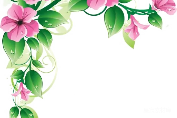 元素素材 透明