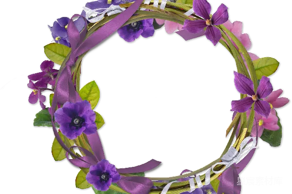 元素素材 花卉