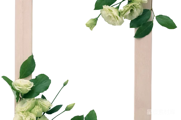 元素素材 花卉