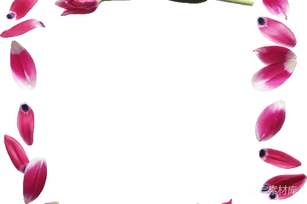 元素素材 花卉