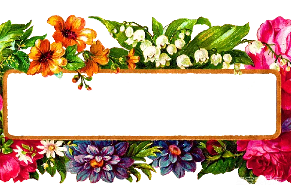 元素素材 花卉
