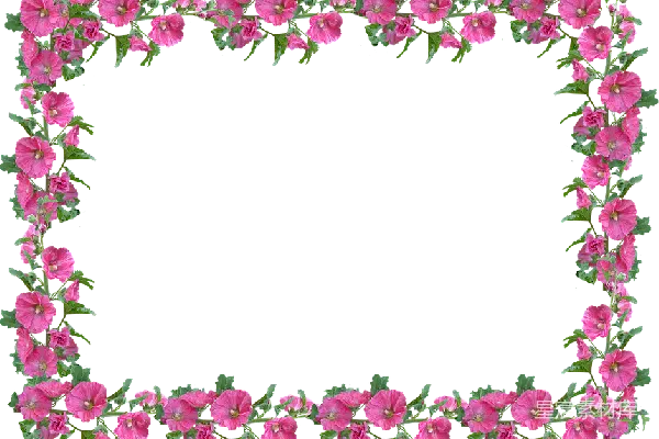 元素素材 花卉