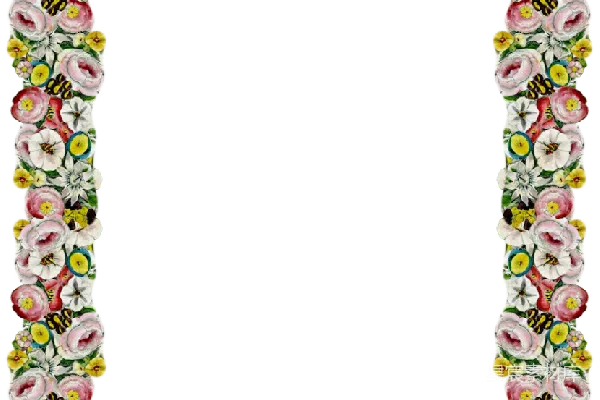 元素素材 花卉