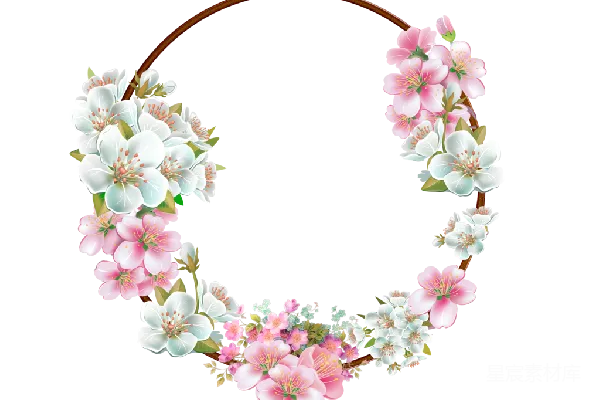 元素素材 花卉