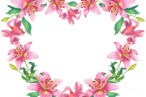 元素素材 花卉