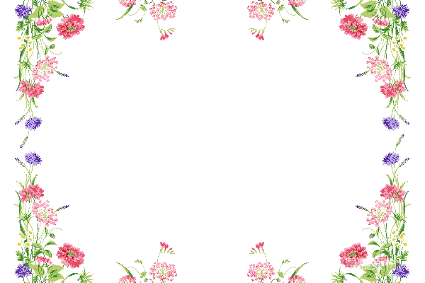 元素素材 花卉