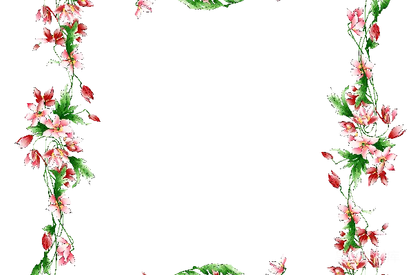 元素素材 花卉边框