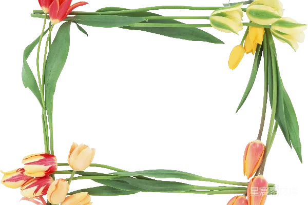 元素素材 花卉