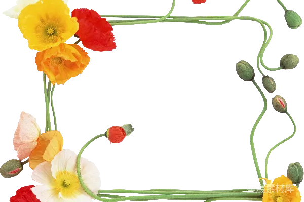 元素素材 花卉