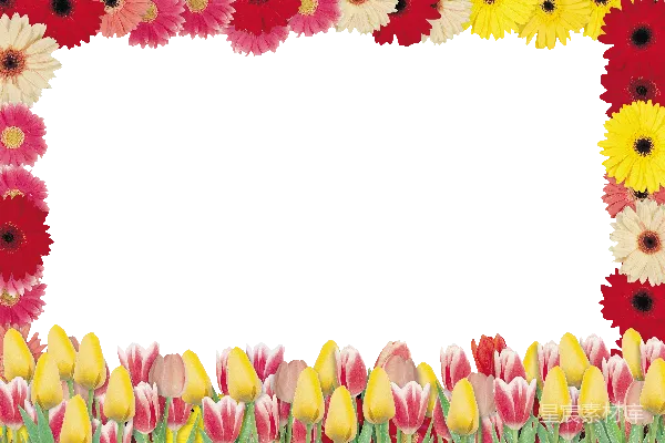 元素素材 花卉