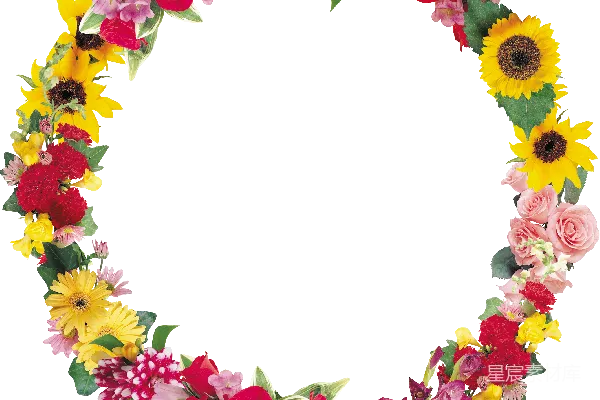 元素素材 花卉