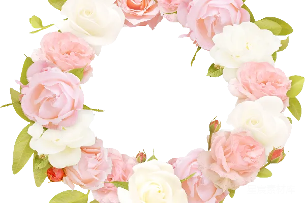 元素素材 花卉