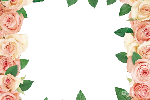 元素素材 花卉