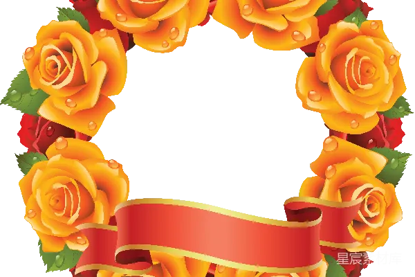 元素素材 花卉