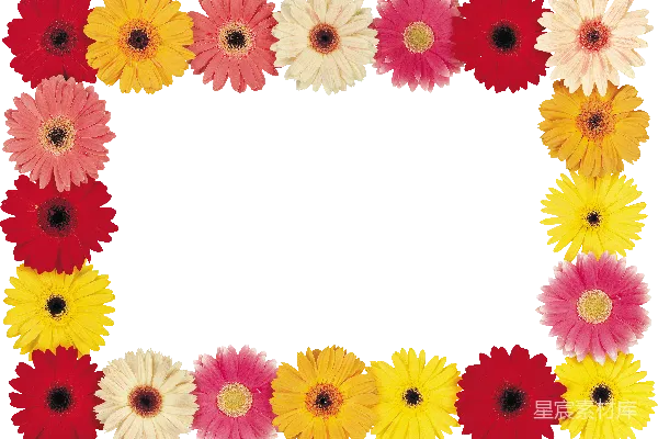 元素素材 花卉