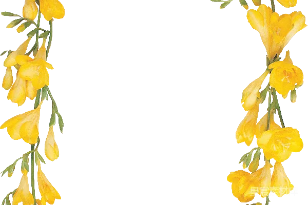 元素素材 花卉
