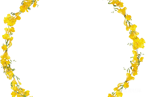 元素素材 花卉
