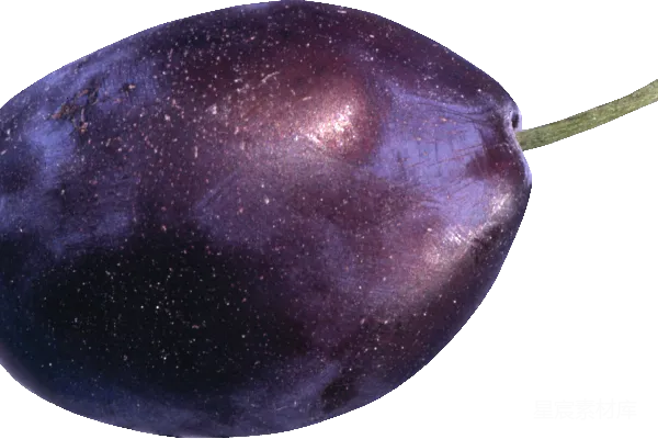 元素素材 plum