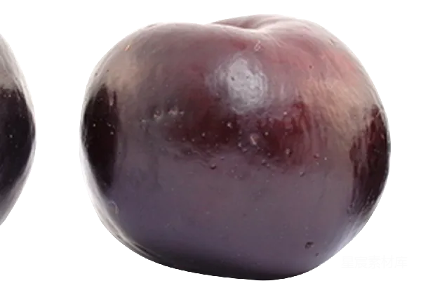 元素素材 plum