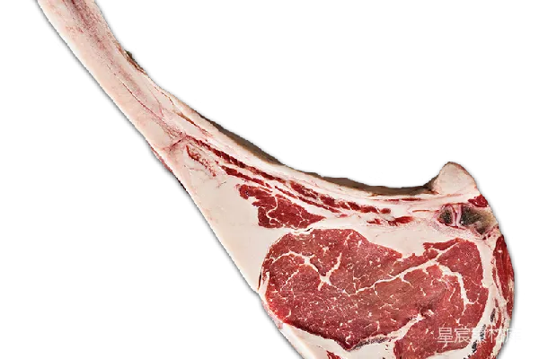 元素素材 牛肉