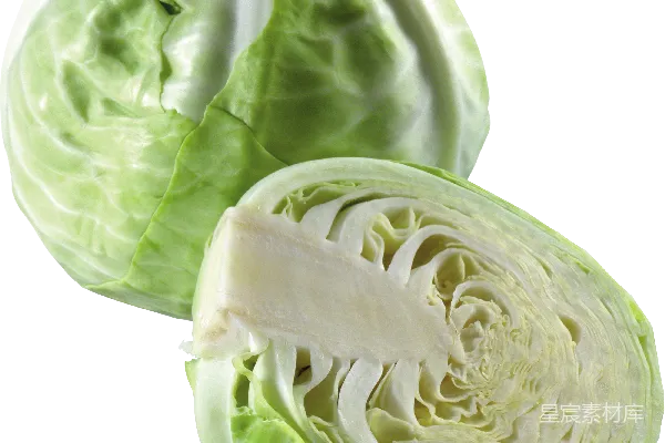 元素素材 白菜