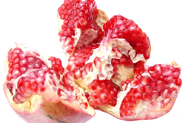 元素素材 石榴