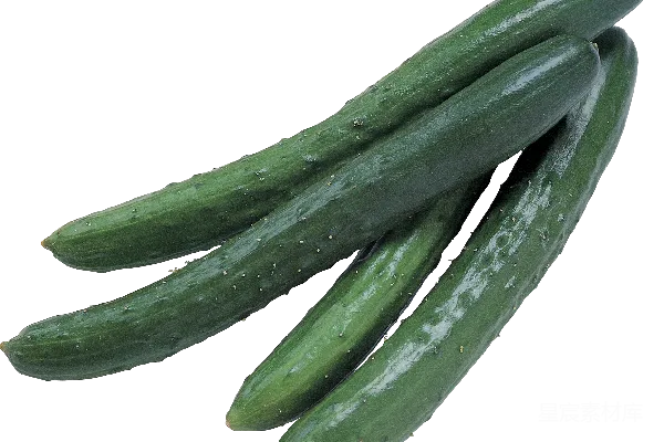 元素素材 四