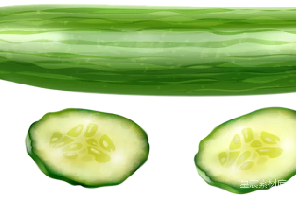 元素素材 黄瓜