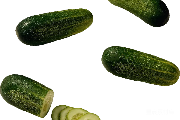 元素素材 盐渍