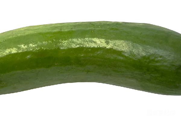 元素素材 黄瓜