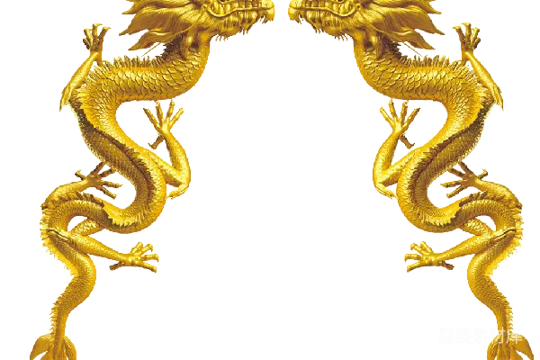 元素素材 龙