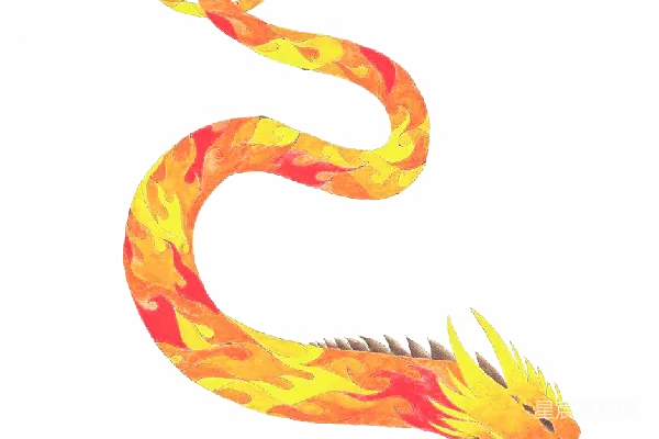 元素素材 龙