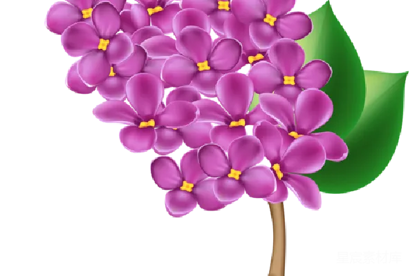 元素素材 透明