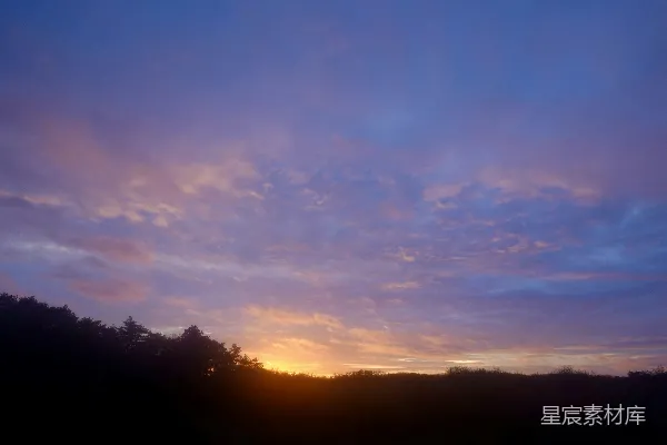 高清摄影 远处的树木上方太阳正在落下