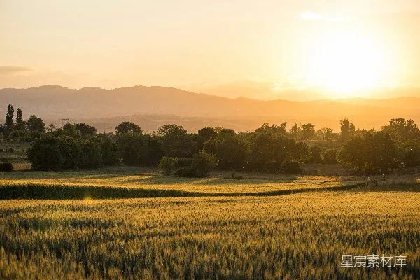 高清摄影 金色的夕阳照耀着一片宁静的 landscapes。
