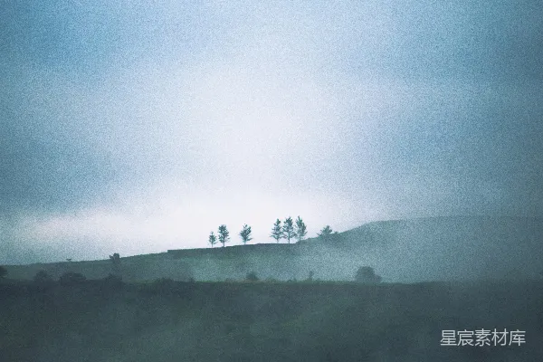 高清摄影 雾气笼罩的山坡上的树木 landscape改为景色